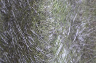 Crag Bank fibreglass roof work